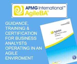 Agile Business Analyst